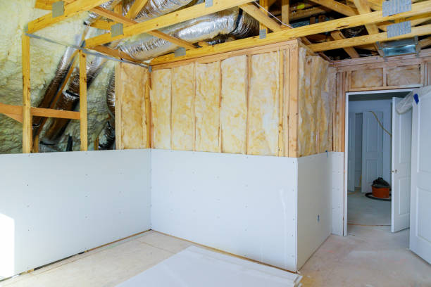 Best Insulation Removal  in Naples, TX