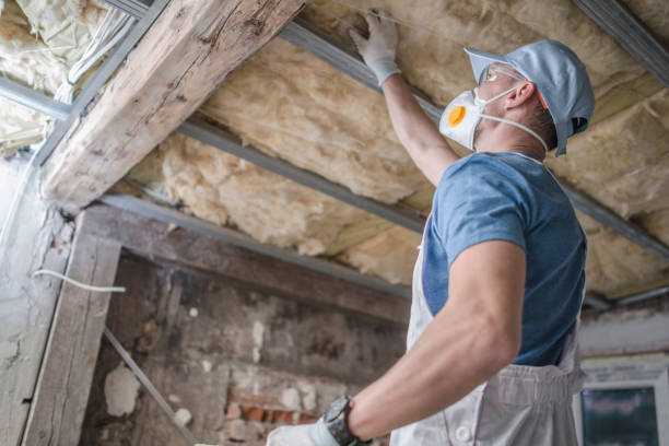 Best Home Insulation Services  in Naples, TX