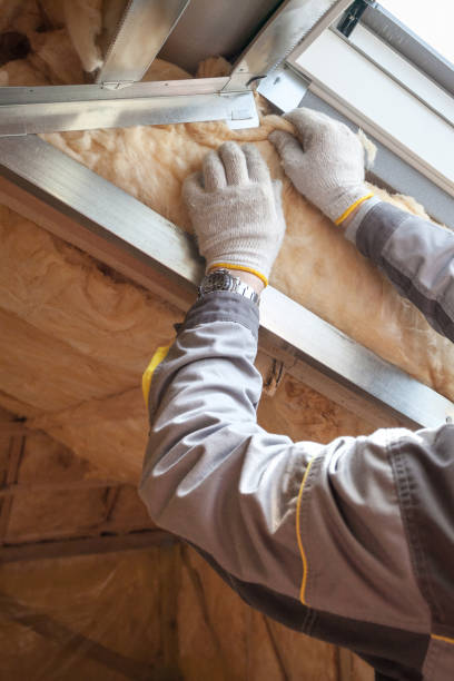 Best Affordable Insulation Services  in Naples, TX