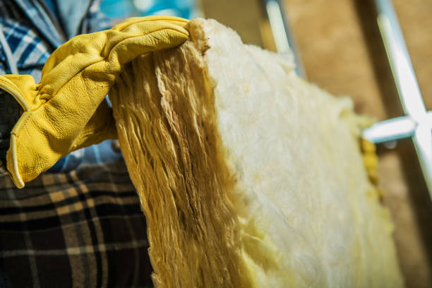 Best Insulation Replacement Services  in Naples, TX