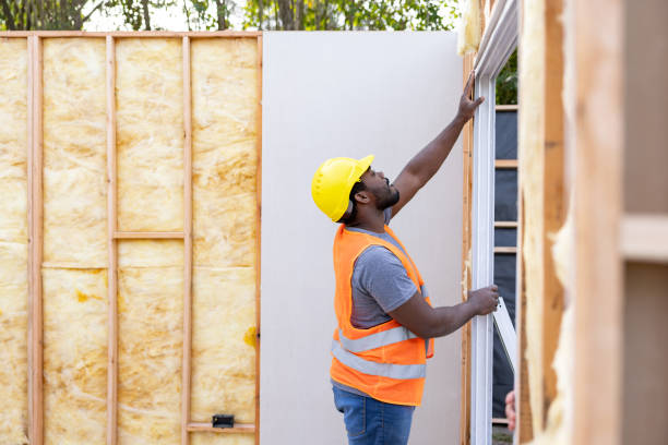 Best Insulation for New Construction  in Naples, TX