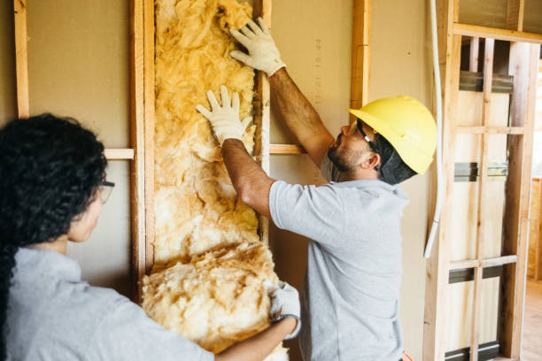 Best Insulation Contractor Near Me  in Naples, TX