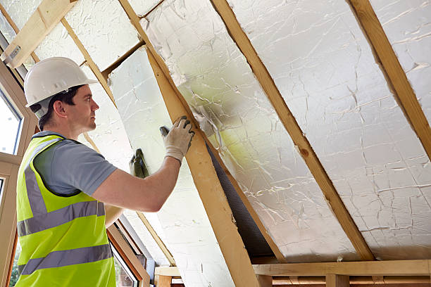 Best Spray Foam Insulation  in Naples, TX