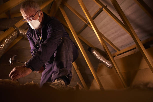 Best Cellulose Insulation  in Naples, TX