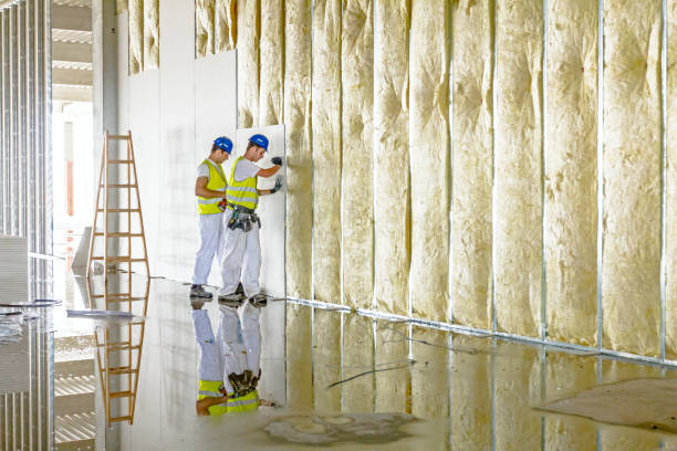 Insulation Repair Services in Naples, TX